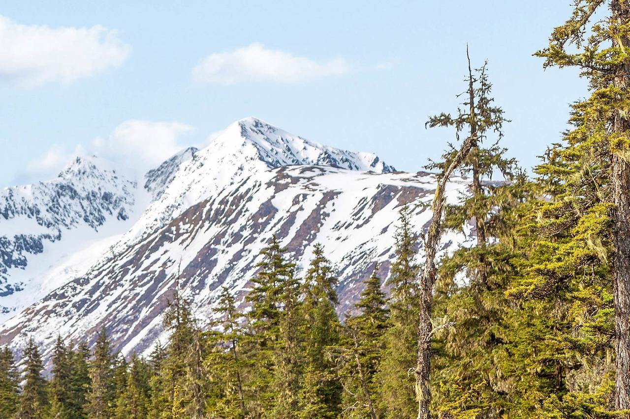 Brighton Condo #208 Girdwood Dış mekan fotoğraf