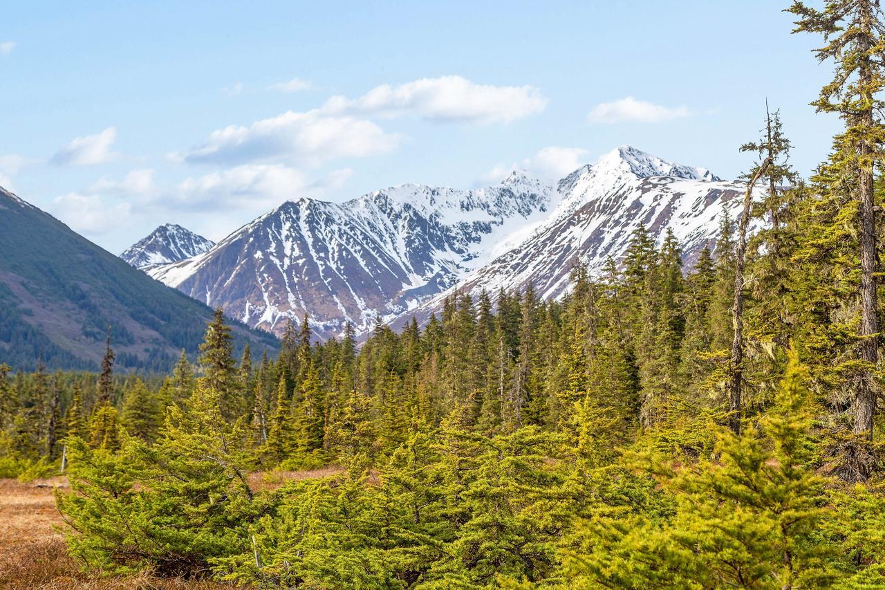 Brighton Condo #208 Girdwood Dış mekan fotoğraf