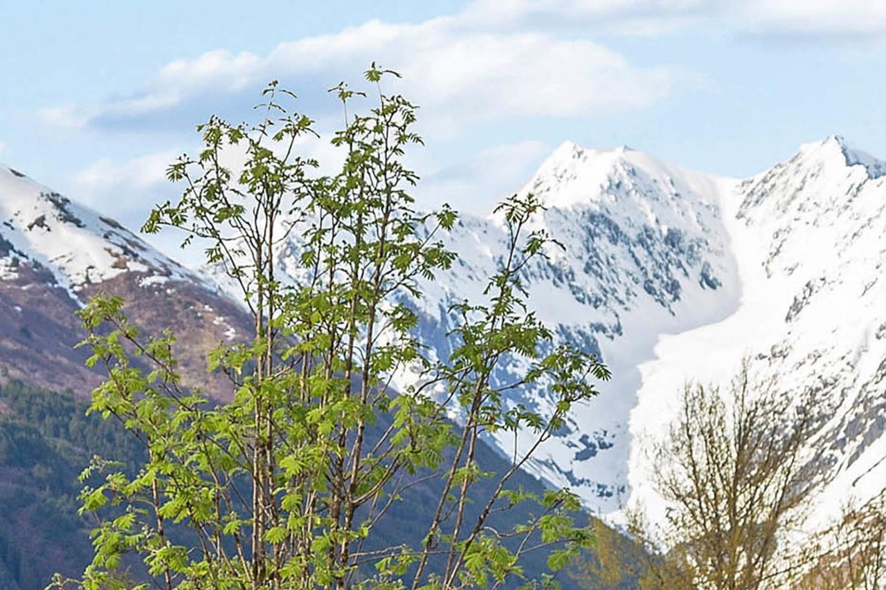 Brighton Condo #208 Girdwood Dış mekan fotoğraf