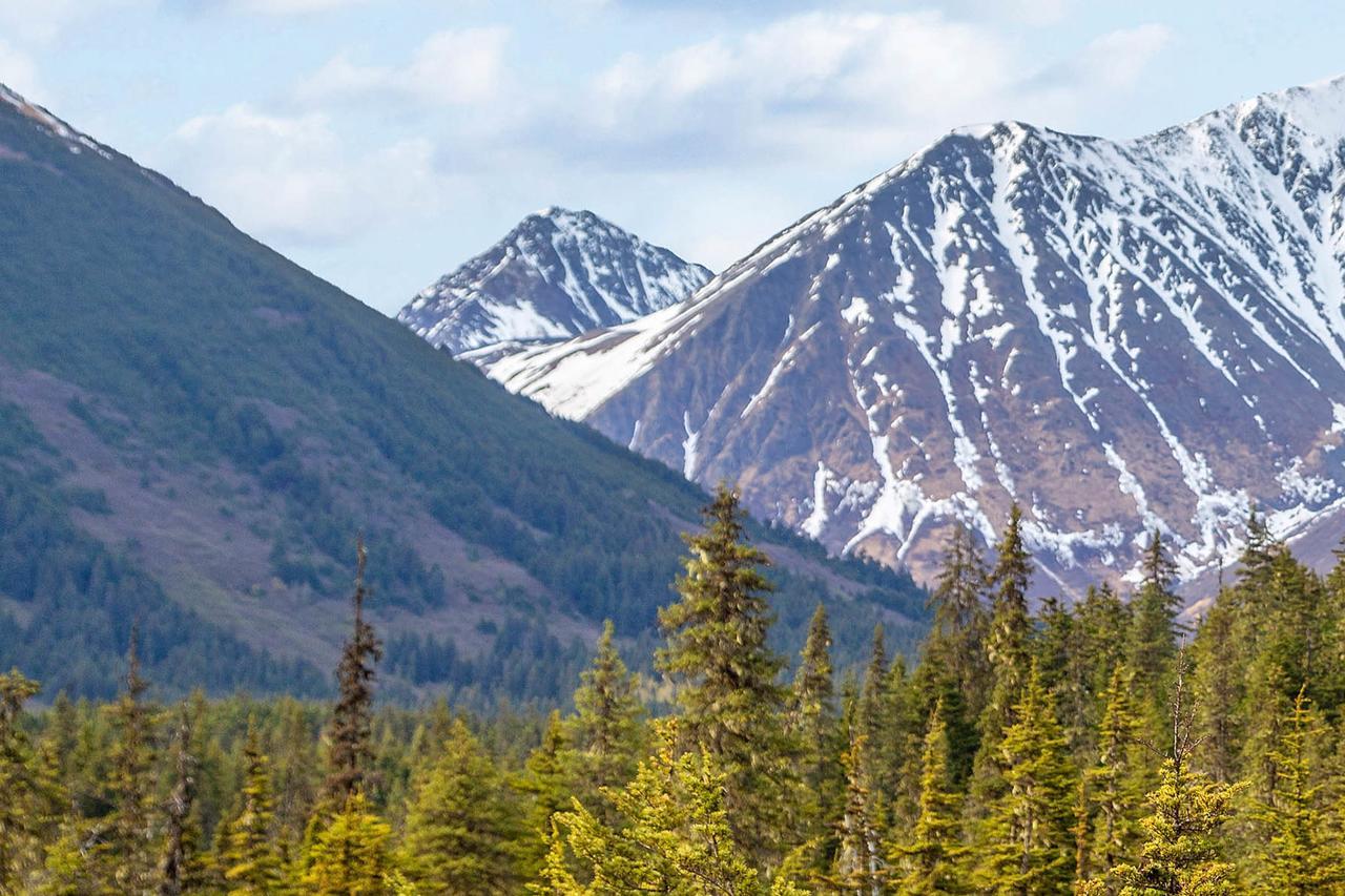 Brighton Condo #208 Girdwood Dış mekan fotoğraf